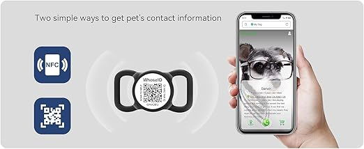 61MqWywZM9L._AC_SX522_