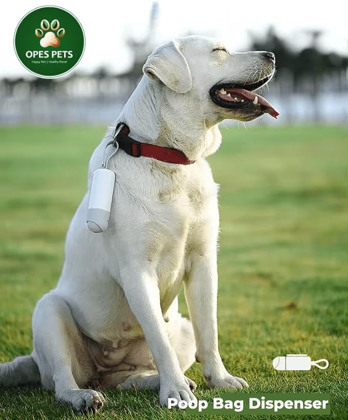 61l7a8rAyqL._AC_SX679_