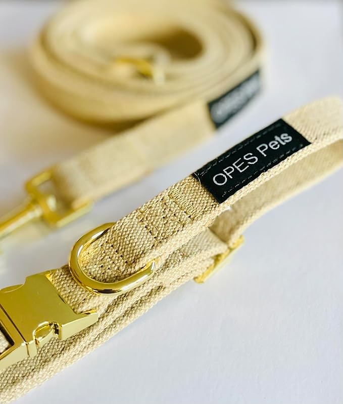 71cyHDaOqnL._AC_SX679_