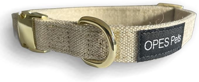 71plgQ349ML._AC_SX679_