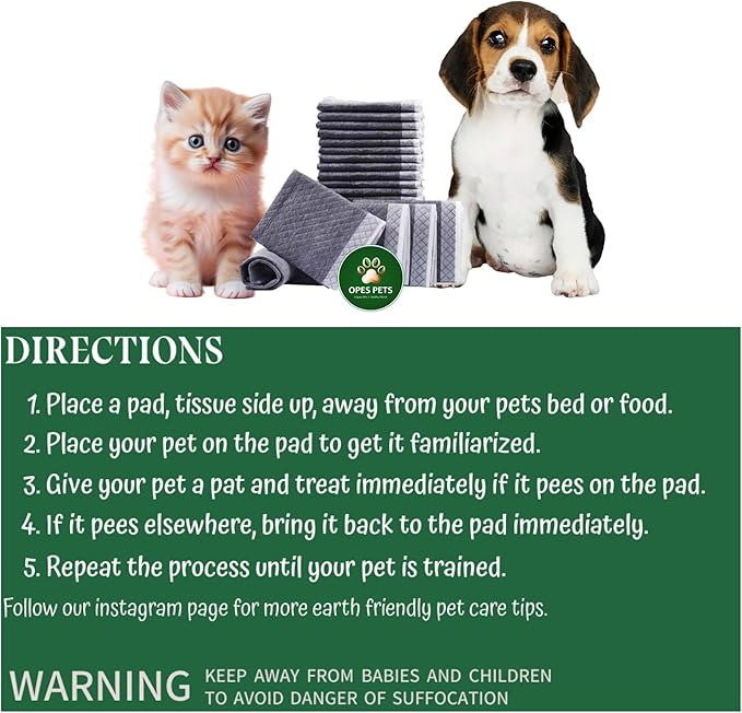 71zpK1SutyL._AC_SX679_