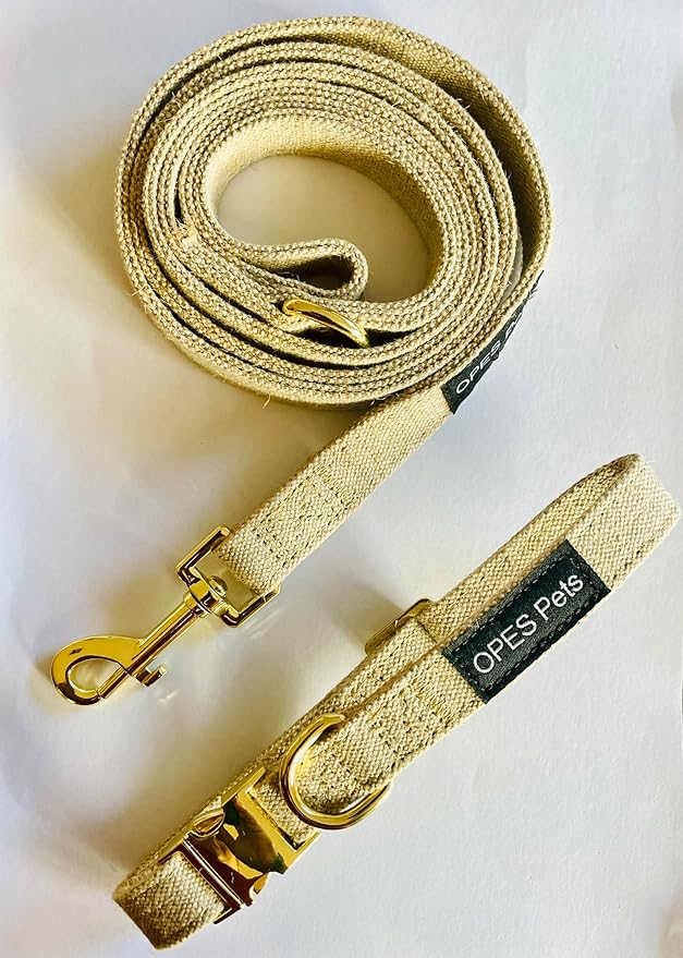 818oXp8AkKL._AC_SY879_